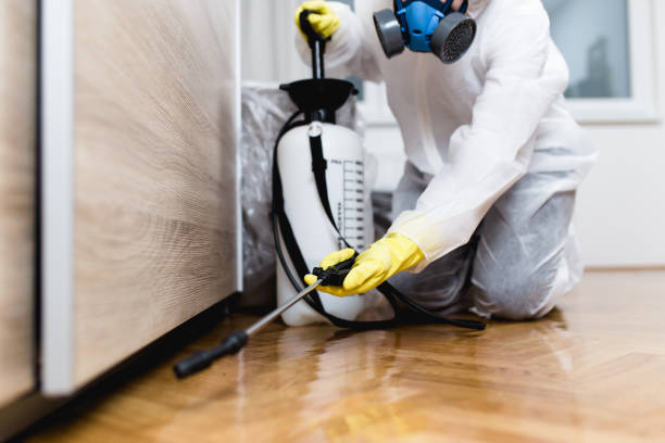 Best Pest Control Treatment  in Elk Point, SD