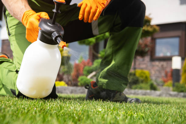 Best Residential Pest Control  in Elk Point, SD