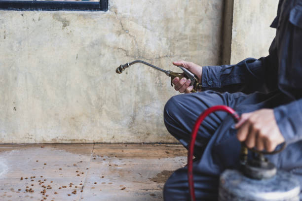 Best Pest Removal Services  in Elk Point, SD